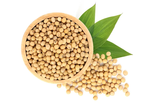 High-quality soybeans with green leaves representing raw material for advanced Soybean Oil Extraction Machinery by Sungates Technologies, focused on maximizing yield and modernizing processing through innovative, sustainable, and high-performance solutions.