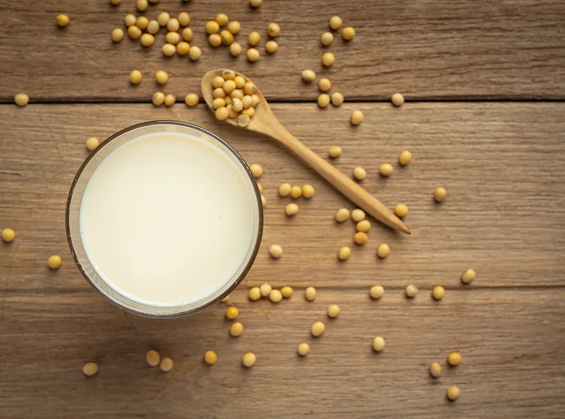  Soya Bean Processing Machinery & Solutions for producing soya protein isolate through alkali extraction, filtration, ultra-filtration, drying, and agglomeration.