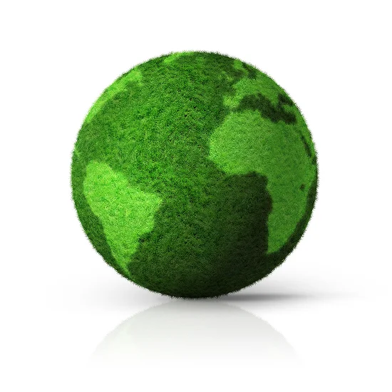 Sustainability